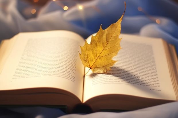内蒙古师范大学里的学前教育,学费是18000元,是中外合资的,是本科吗