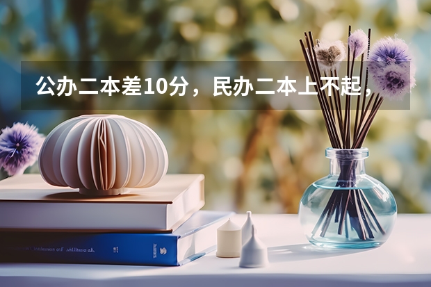 公办二本差10分，民办二本上不起，我该怎么办