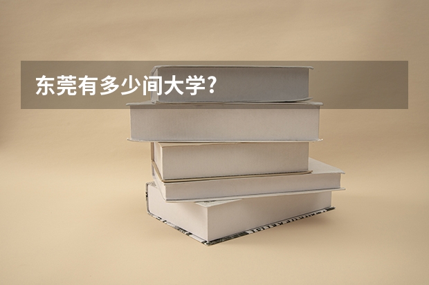 东莞有多少间大学?