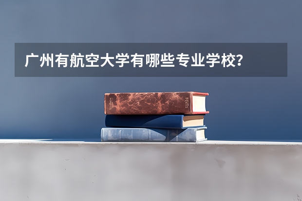 广州有航空大学有哪些专业学校？