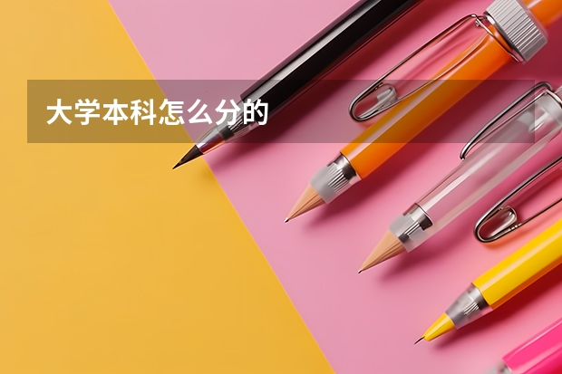 大学本科怎么分的