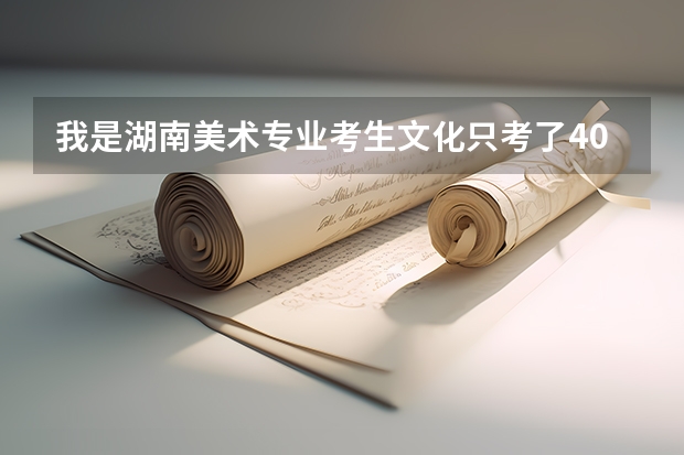 我是湖南美术专业考生文化只考了409，专业过二本，能报湖南的哪些二本学校？