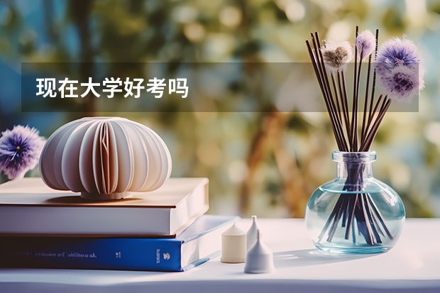现在大学好考吗