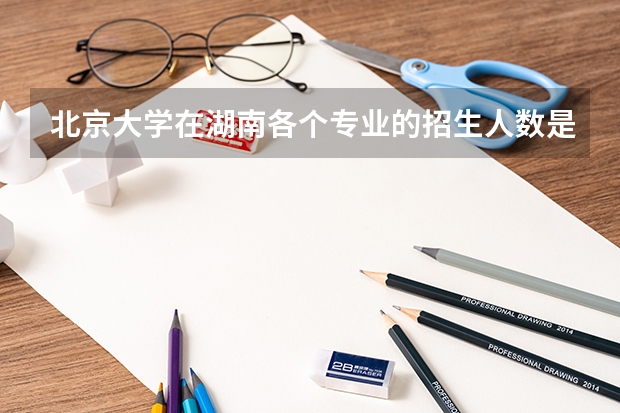 北京大学在湖南各个专业的招生人数是多少