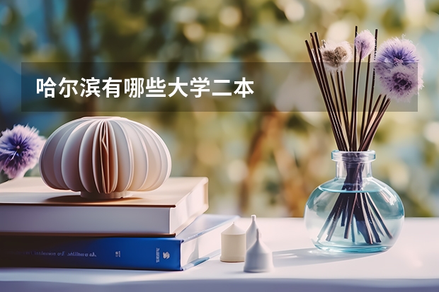 哈尔滨有哪些大学二本