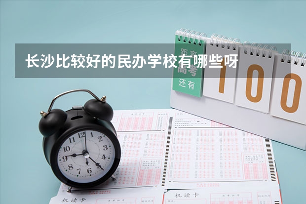长沙比较好的民办学校有哪些呀