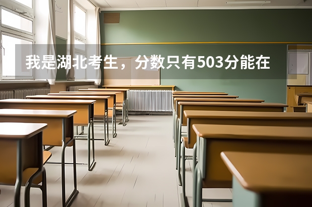 我是湖北考生,分数只有503分能在湖北省上二本(二)的院校吗