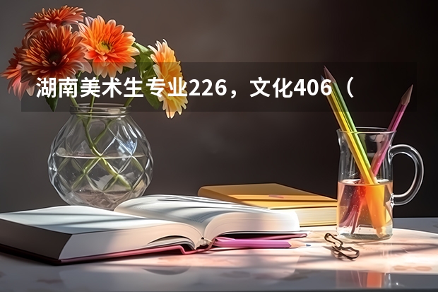 湖南美术生专业226，文化406（理）可以读哪些学校啊
