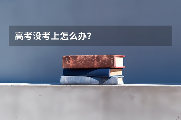 高考没考上怎么办?