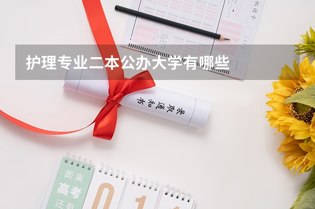 护理专业二本公办大学有哪些