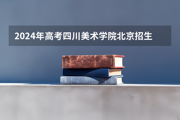 2024年高考四川美术学院北京招生计划 招生人数