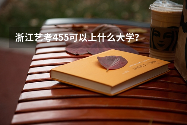 浙江艺考455可以上什么大学?