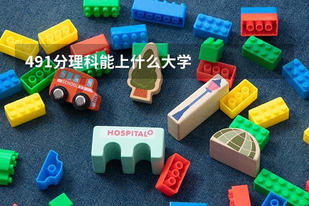491分理科能上什么大学