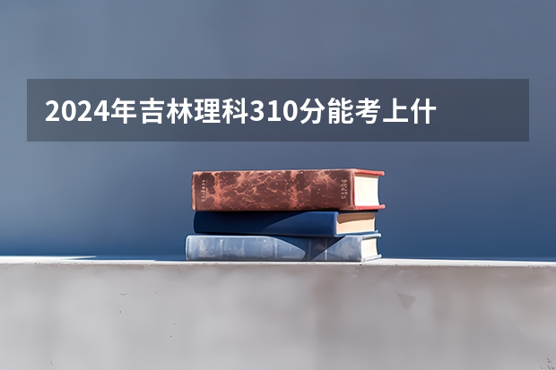 2024年吉林理科310分能考上什么大学？