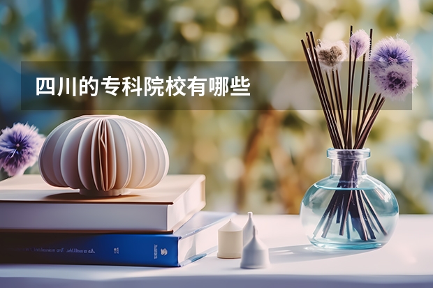 四川的专科院校有哪些