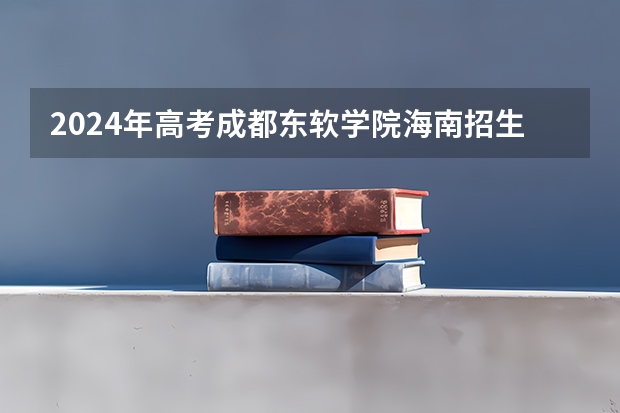 2024年高考成都东软学院海南招生计划 招生人数