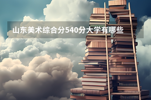 山东美术综合分540分大学有哪些