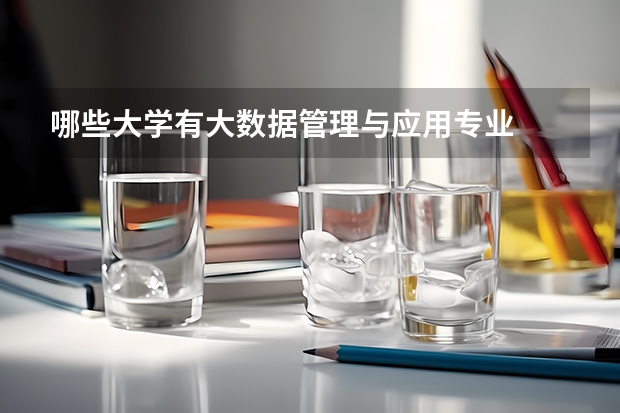 哪些大学有大数据管理与应用专业