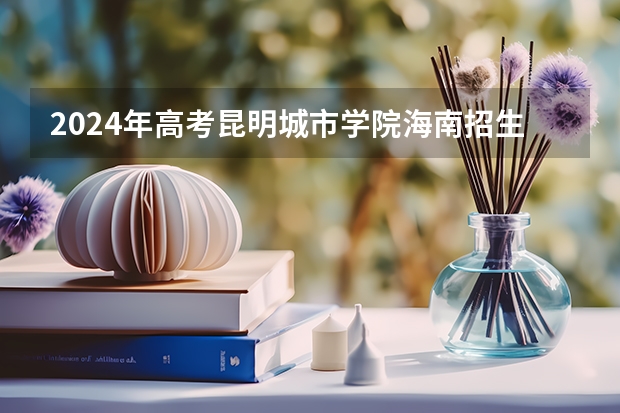 2024年高考昆明城市学院海南招生计划 招生人数
