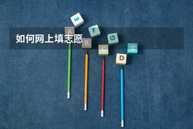 如何网上填志愿