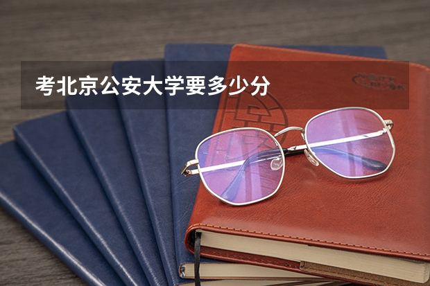考北京公安大学要多少分