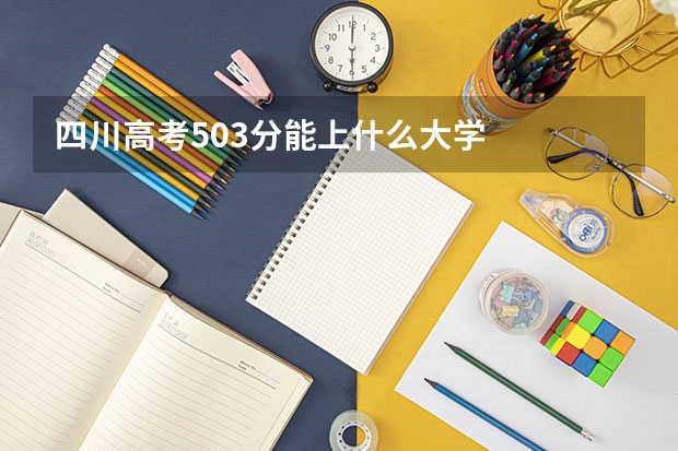 四川高考503分能上什么大学