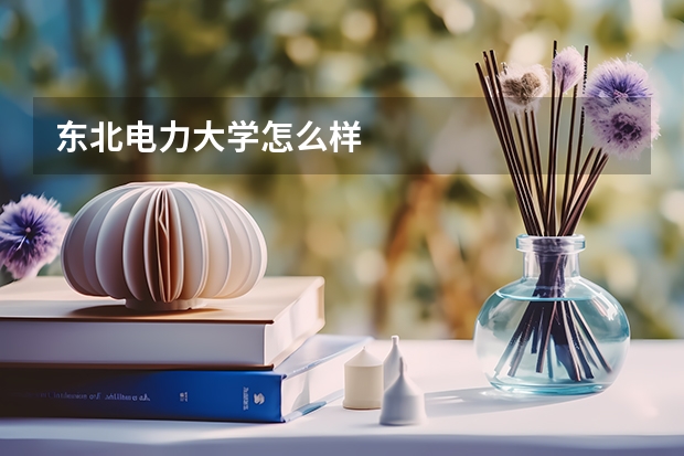东北电力大学怎么样