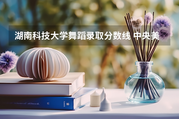 湖南科技大学舞蹈录取分数线 中央美术学院/清华美术学院/中国美术学院文化和专业的录取分是