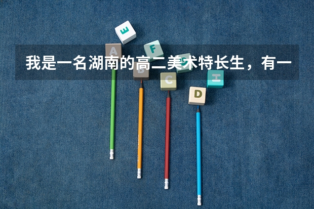 我是一名湖南的高二美术特长生,有一定的美术基础,但是文化现在大概考300分左右,不知道有什么大学适合我