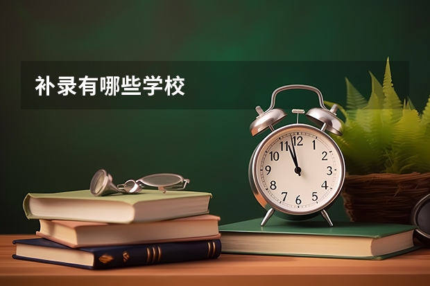 补录有哪些学校