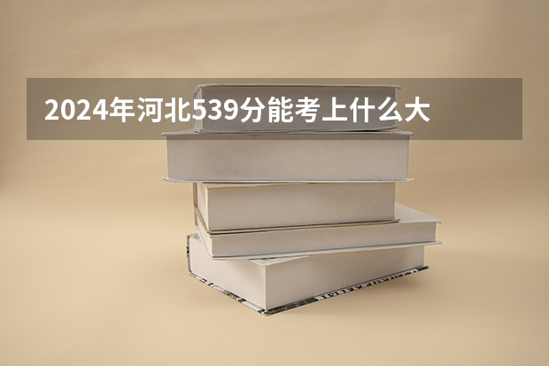2024年河北539分能考上什么大学？