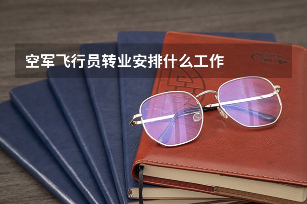 空军飞行员转业安排什么工作