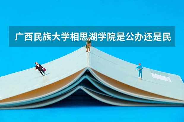 广西民族大学相思湖学院是公办还是民办(广西民族大学分数线)