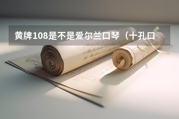 黄牌108是不是爱尔兰口琴（十孔口琴天鹅好还是黄牌好？）