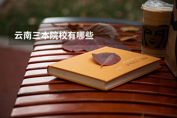 云南三本院校有哪些