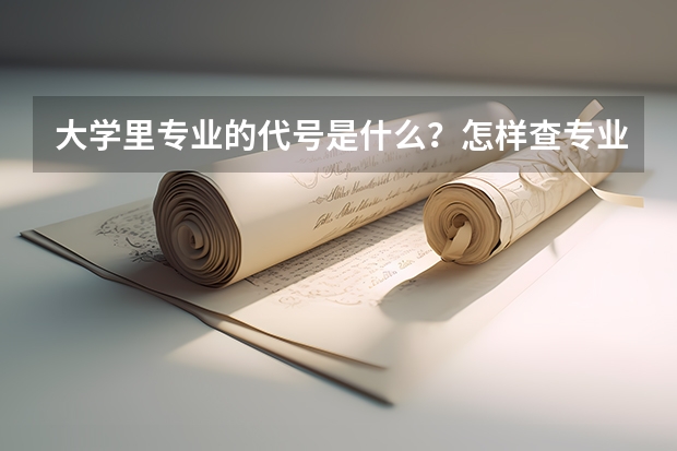 大学里专业的代号是什么？怎样查专业代码？