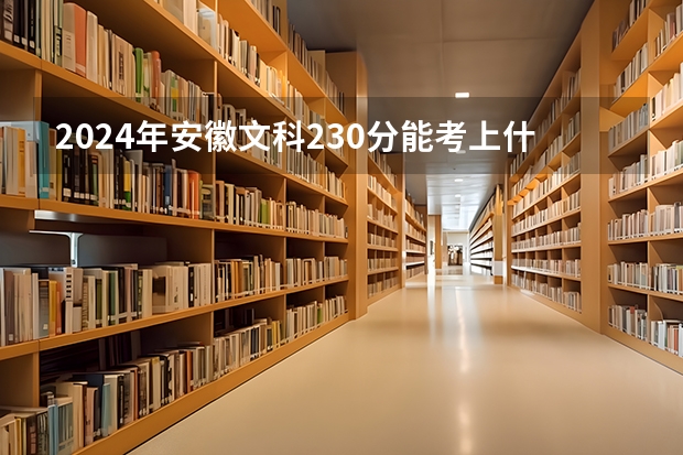 2024年安徽文科230分能考上什么大学?