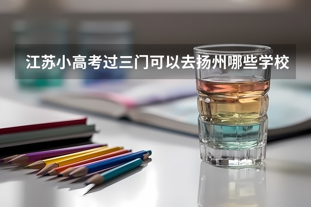 江苏小高考过三门可以去扬州哪些学校