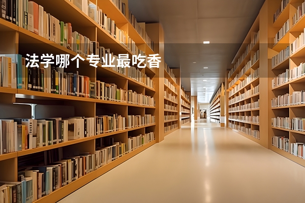 法学哪个专业最吃香