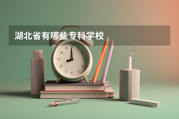 湖北省有哪些专科学校