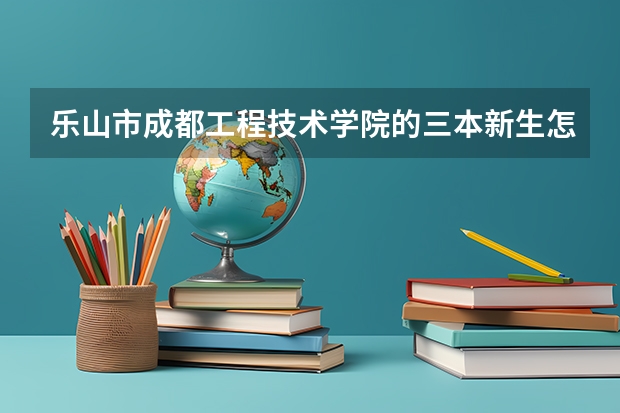 乐山市成都工程技术学院的三本新生怎样申请到助学贷款应该怎么弄越详细越好！