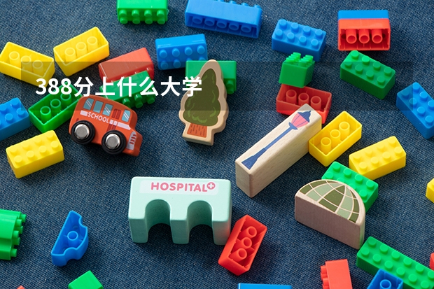 388分上什么大学
