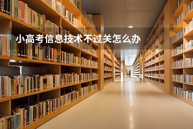 小高考信息技术不过关怎么办