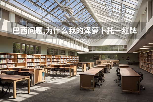 巴西问题,为什么我的泽萝卜托一红牌,下场比赛就zico上场,,而名单里又没他,怎么能让zico一直上场
