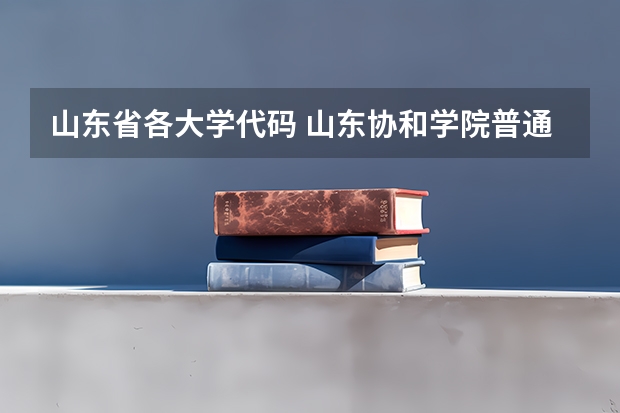 山东省各大学代码 山东协和学院普通高校招生章程