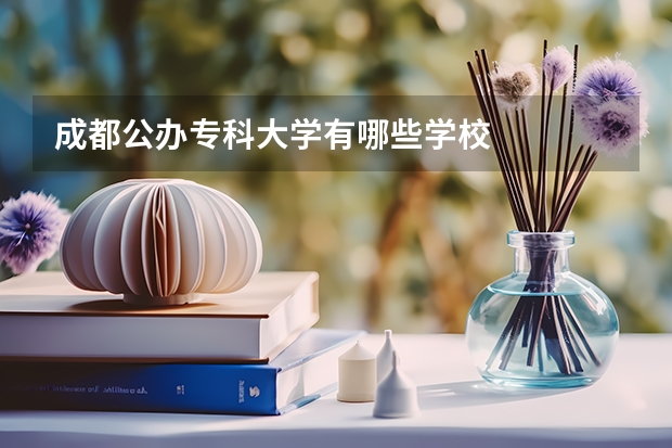 成都公办专科大学有哪些学校