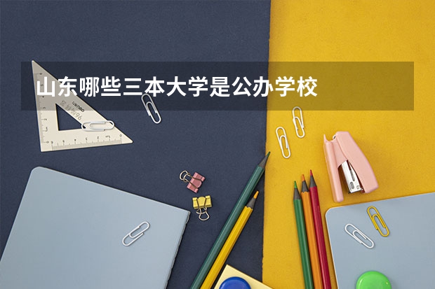山东哪些三本大学是公办学校