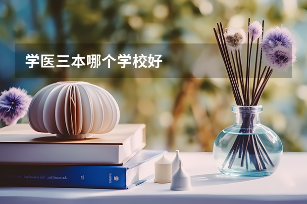 学医三本哪个学校好