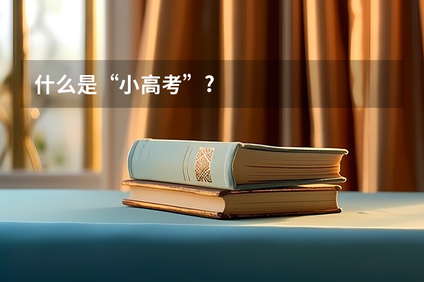 什么是“小高考”?