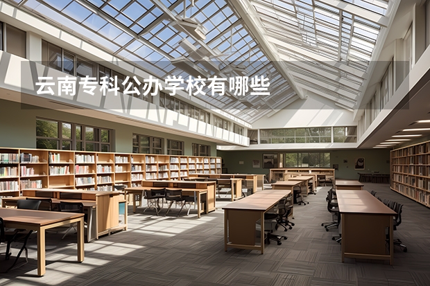 云南专科公办学校有哪些